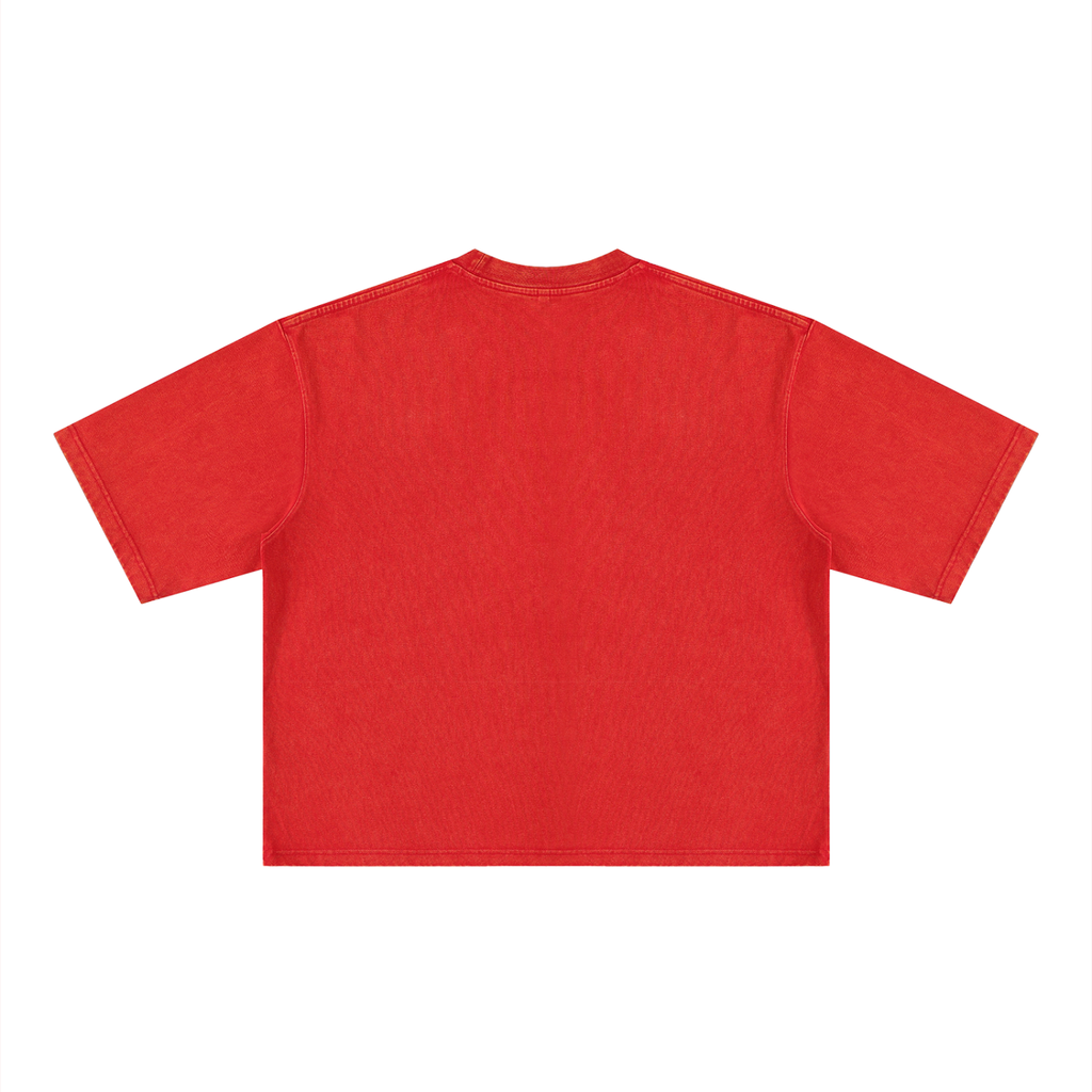 RAREVERA CRASH OUT Unisex Heavyweight Mineral Wash Boxy T-Shirt