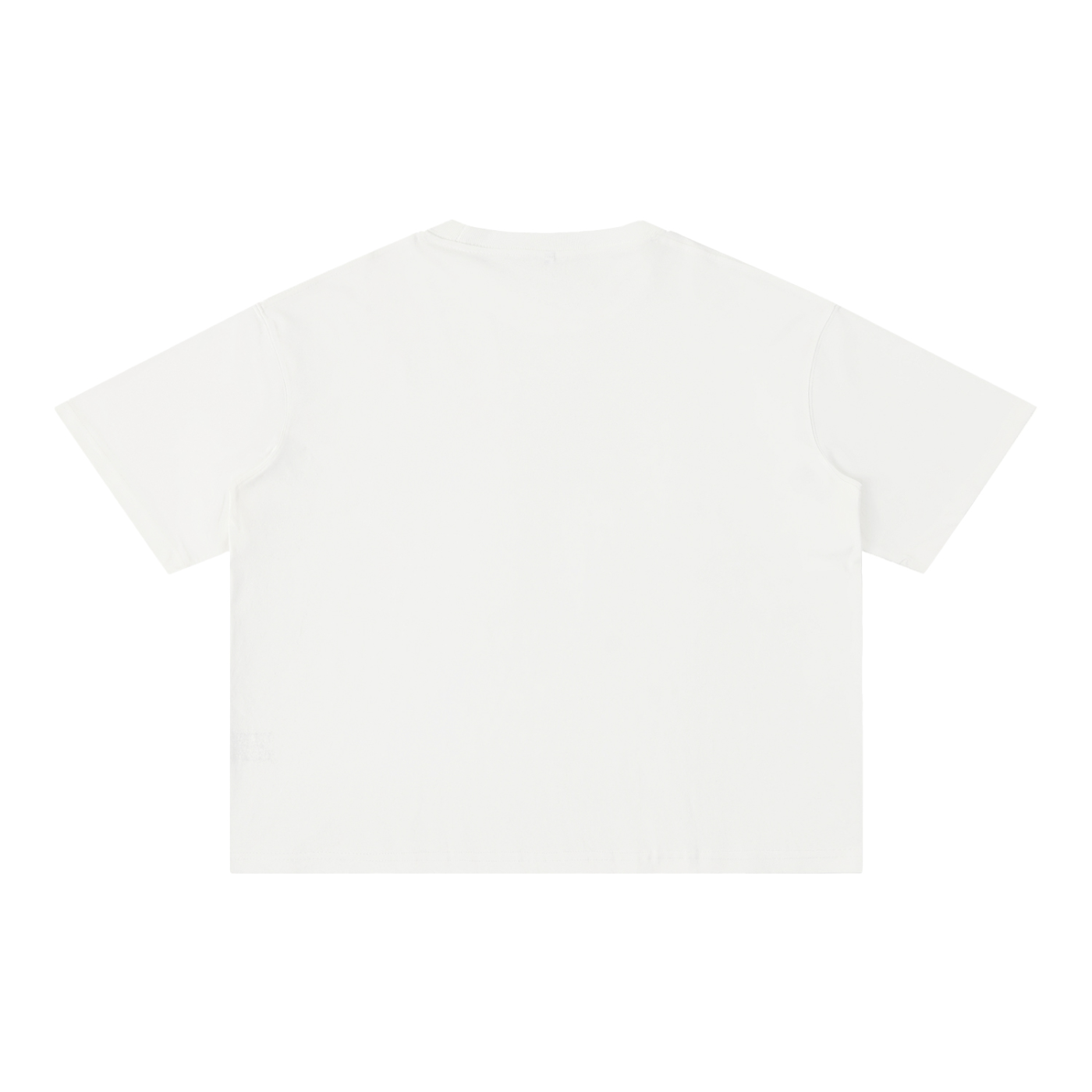 RAREVERA Mineral Wash Boxy Cotton T-Shirt