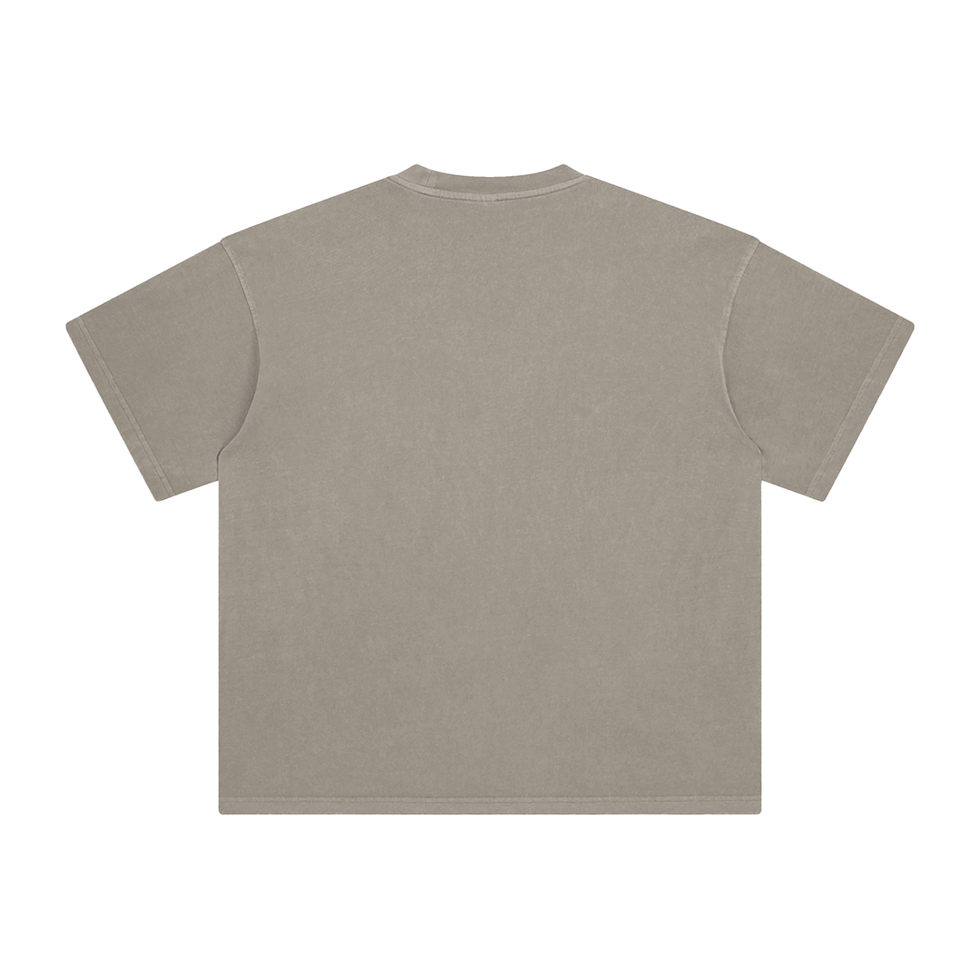 RAREVERA LET THE MONEY BURN Enzyme Washed T-Shirt